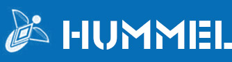 Logo Dirk Hummel Steuerberater